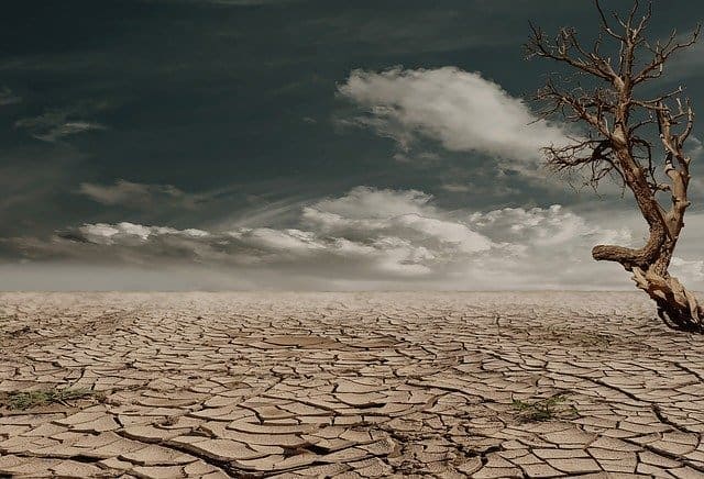 „Zmiana klimatu to nie wina człowieka” – problematyczna pomyłka