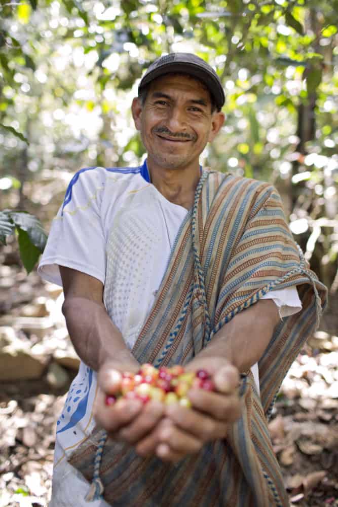 Co oznacza certyfikat Fairtrade?