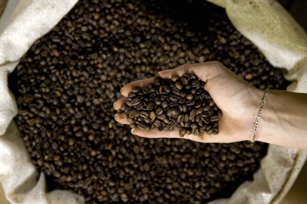 Jak Fairtrade działa na rzecz zrównoważonego rynku kawy?