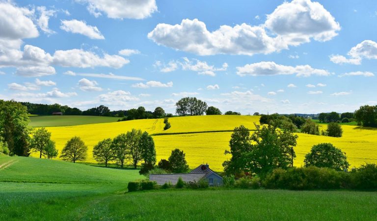 Jak zagospodarowanie gruntów wpływa na zmianę klimatu?