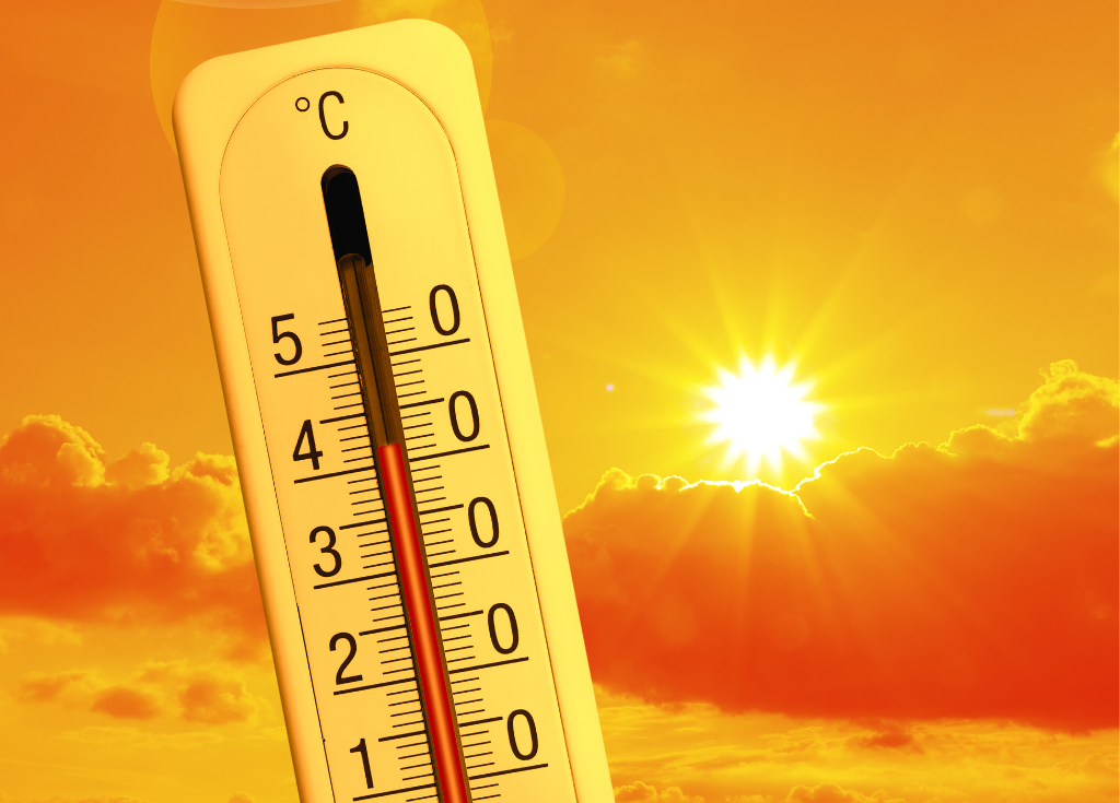 Pogoda nas męczy, dezinformacja dzieli. Dlaczego edukacja klimatyczna musi zmienić język?